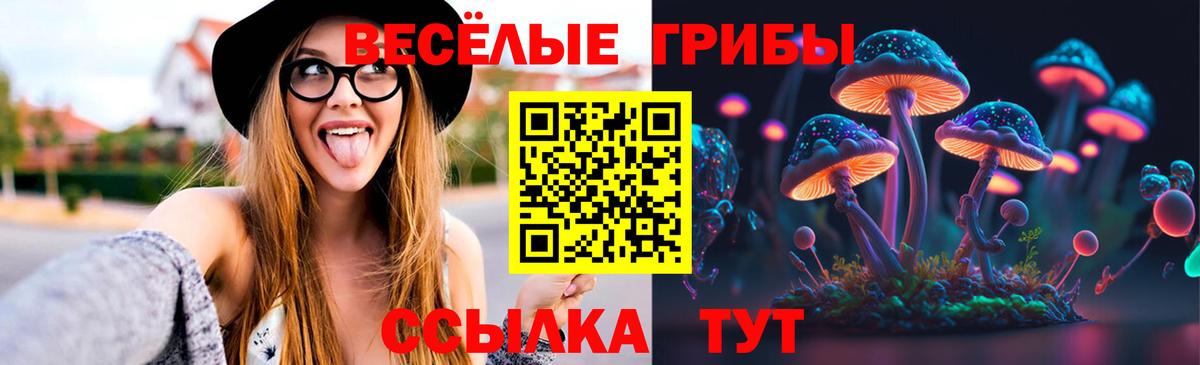 Псилоцибиновые грибы GOLDEN TEACHER  Вход с VPN  купить наркотик  Можайск  Псилоцибиновые грибы MAGIC MUSHROOMS 